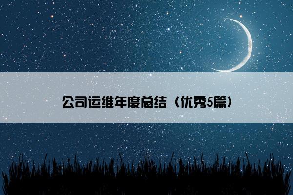 公司运维年度总结（优秀5篇）