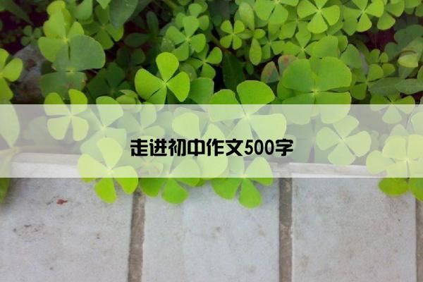 走进初中作文500字