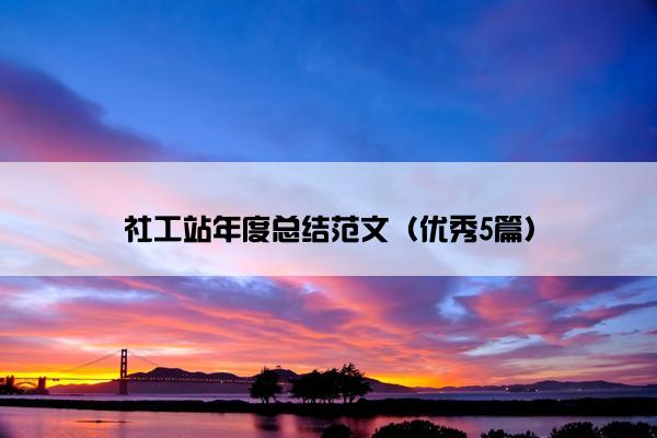 社工站年度总结范文（优秀5篇）
