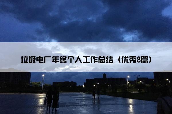 垃圾电厂年终个人工作总结（优秀8篇）