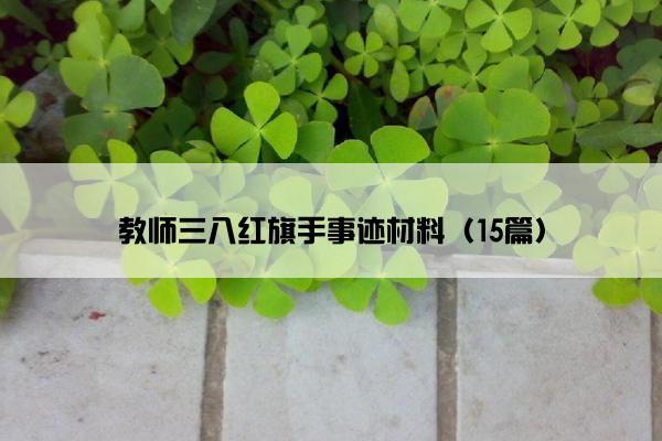 教师三八红旗手事迹材料（15篇）