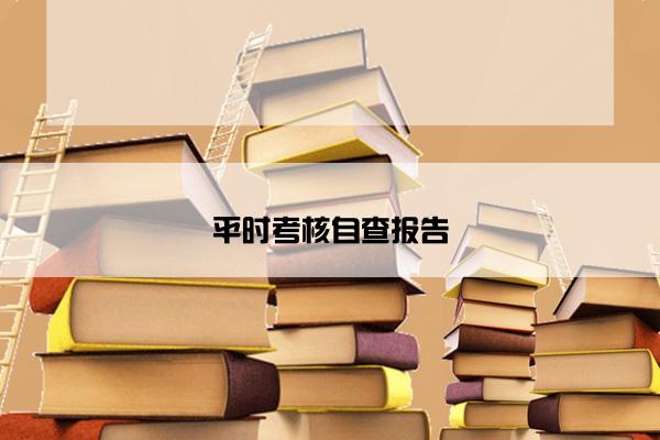 平时考核自查报告