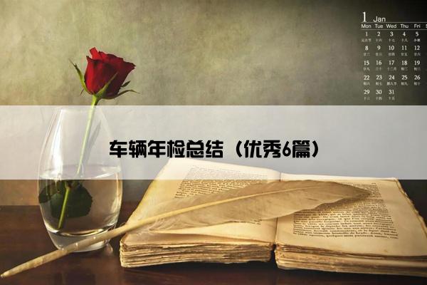 车辆年检总结（优秀6篇）