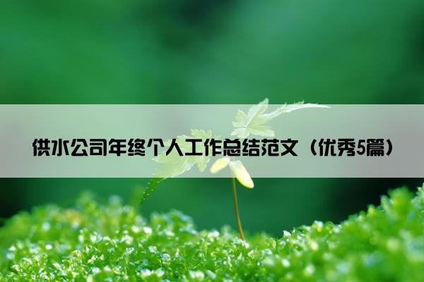 供水公司年终个人工作总结范文（优秀5篇）