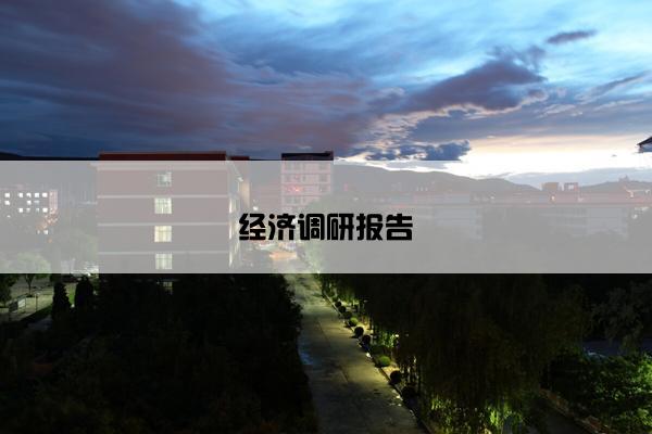 经济调研报告