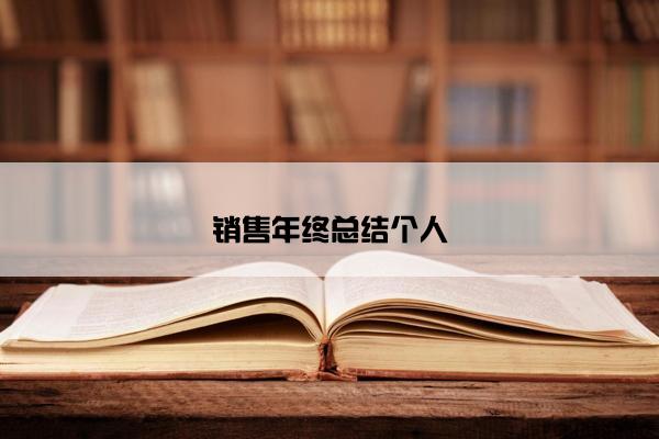 销售年终总结个人