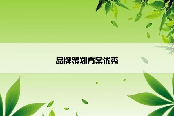 品牌策划方案优秀