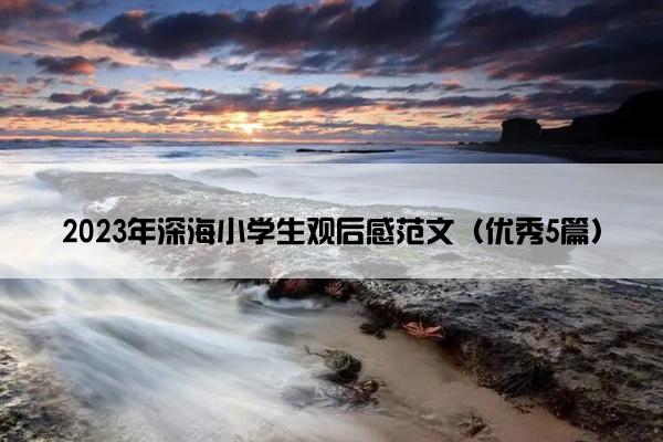 2023年深海小学生观后感范文（优秀5篇）