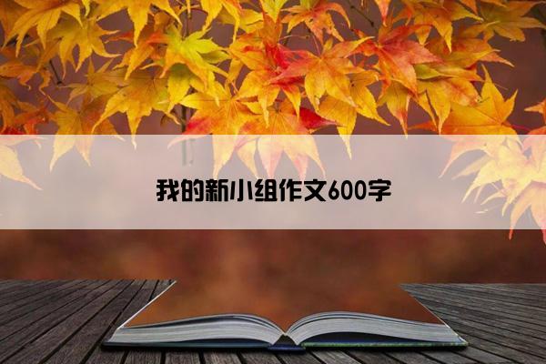 我的新小组作文600字 我的新小组作文600字