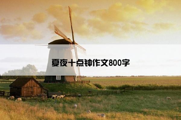 夏夜十点钟作文800字