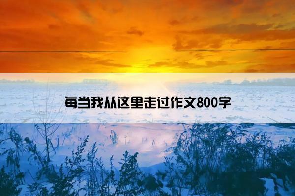 每当我从这里走过作文800字