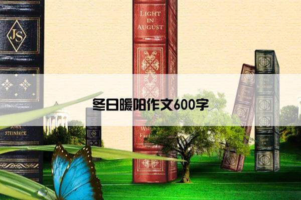 冬日暖阳作文600字