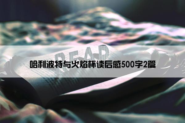 哈利波特与火焰杯读后感500字2篇