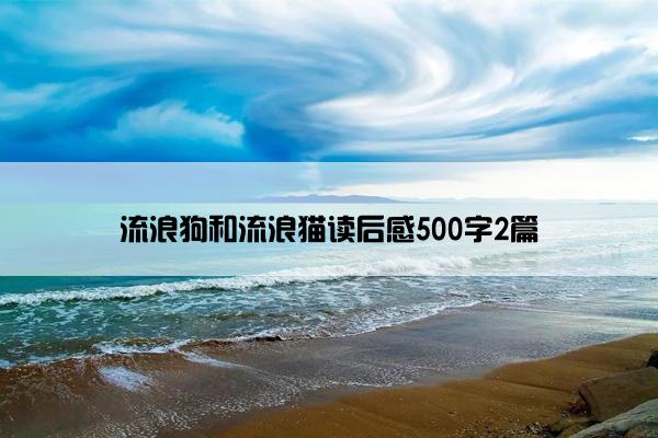 流浪狗和流浪猫读后感500字2篇