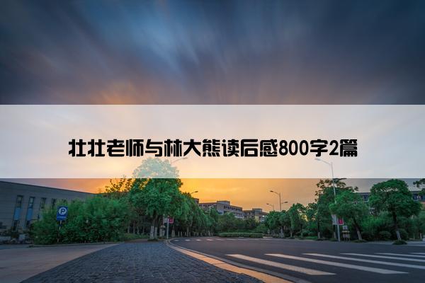 壮壮老师与林大熊读后感800字2篇 壮壮老师与林大熊读后感800字2篇