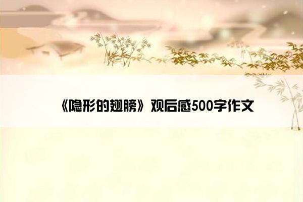 《隐形的翅膀》观后感500字作文 《隐形的翅膀》观后感500字作文