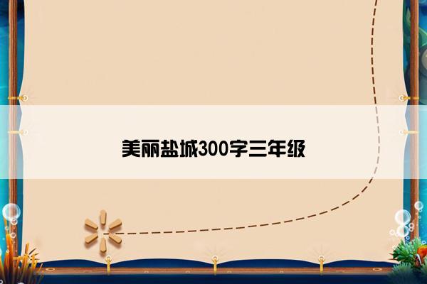 美丽盐城300字三年级