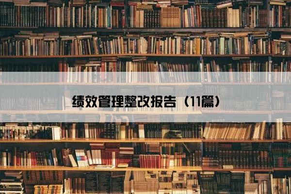 绩效管理整改报告（11篇）