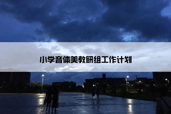 小学音体美教研组工作计划