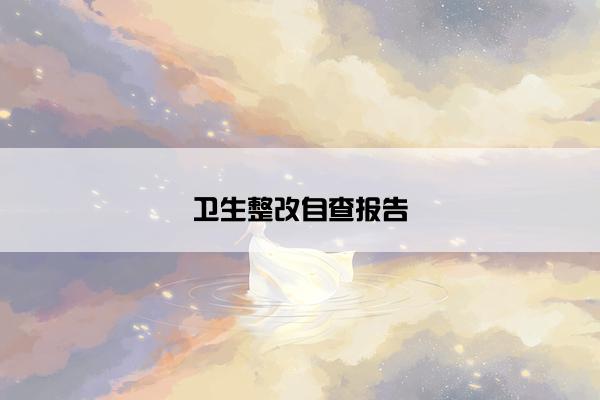 卫生整改自查报告 卫生整改自查报告