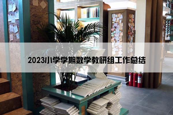 2023小学学期数学教研组工作总结