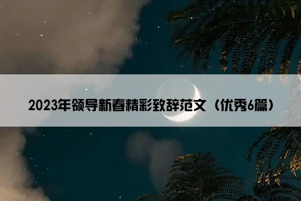 2023年领导新春精彩致辞范文（优秀6篇）