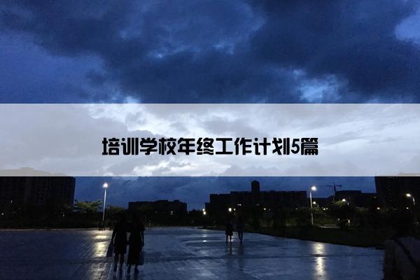 培训学校年终工作计划5篇