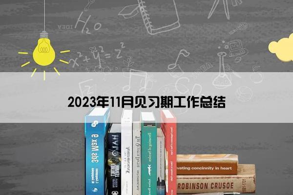 2023年11月见习期工作总结