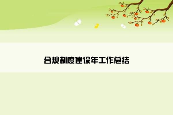 合规制度建设年工作总结