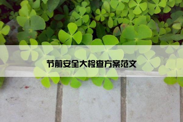 节前安全大检查方案范文