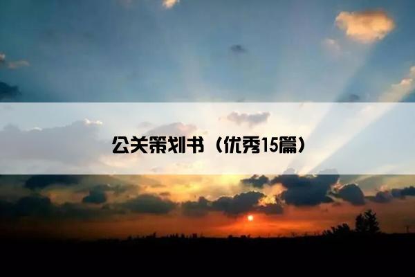 公关策划书（优秀15篇）