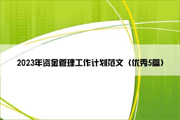 2023年资金管理工作计划范文（优秀5篇）