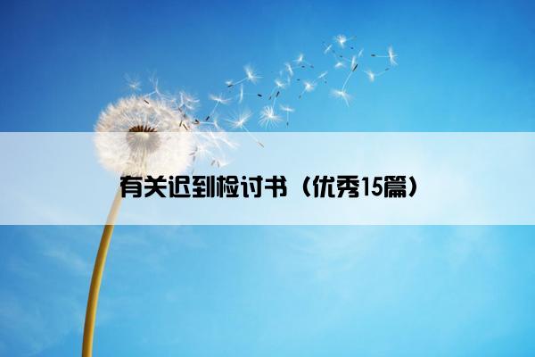 有关迟到检讨书（优秀15篇）