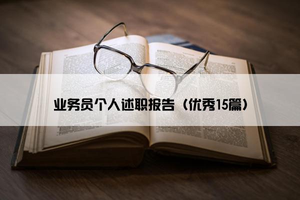 业务员个人述职报告（优秀15篇）