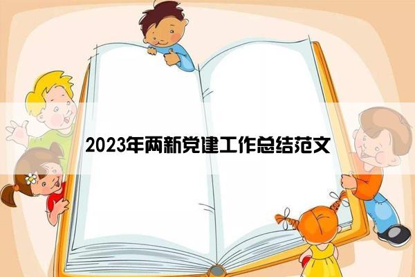 2023年两新党建工作总结范文
