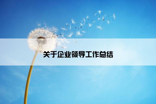关于企业领导工作总结