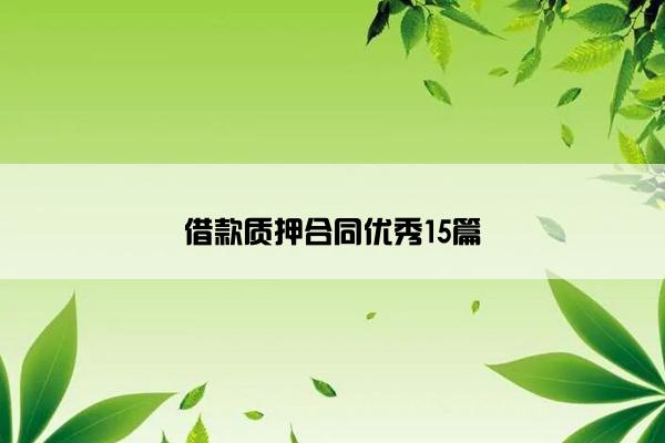 借款质押合同优秀15篇