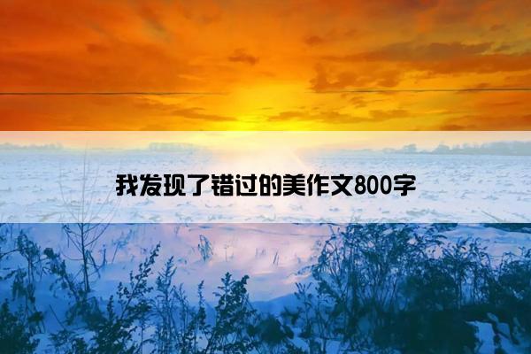 我发现了错过的美作文800字