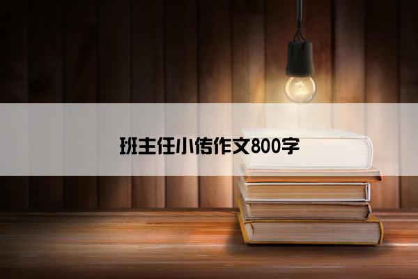 班主任小传作文800字