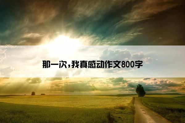 那一次,我真感动作文800字