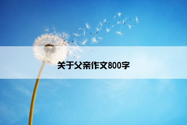 关于父亲作文800字