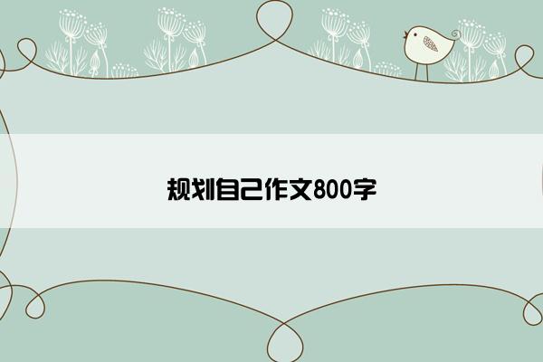 规划自己作文800字