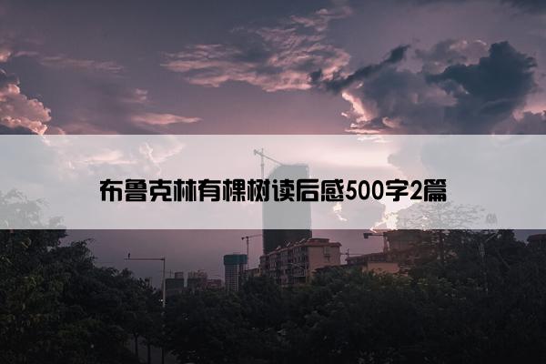 布鲁克林有棵树读后感500字2篇