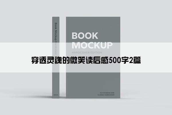 穿透灵魂的微笑读后感500字2篇