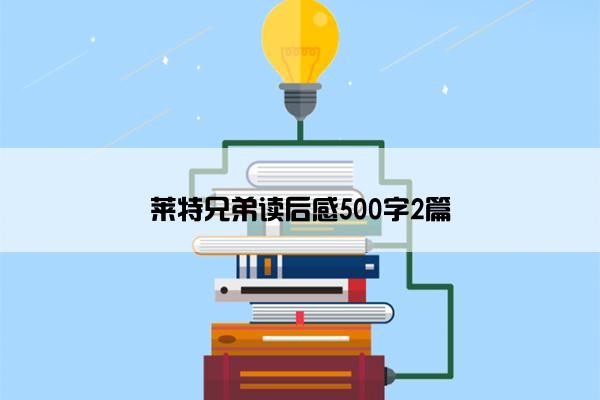 莱特兄弟读后感500字2篇