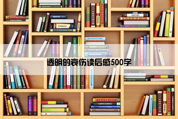 透明的哀伤读后感500字