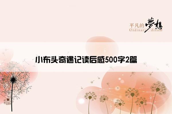 小布头奇遇记读后感500字2篇