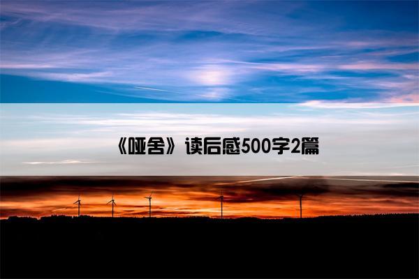 《哑舍》读后感500字2篇