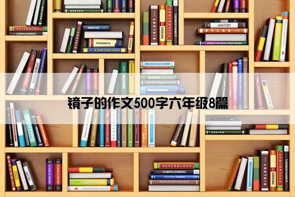 镜子的作文500字六年级8篇