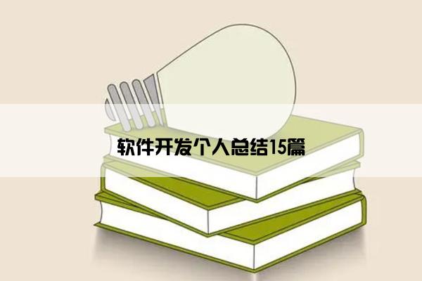 软件开发个人总结15篇
